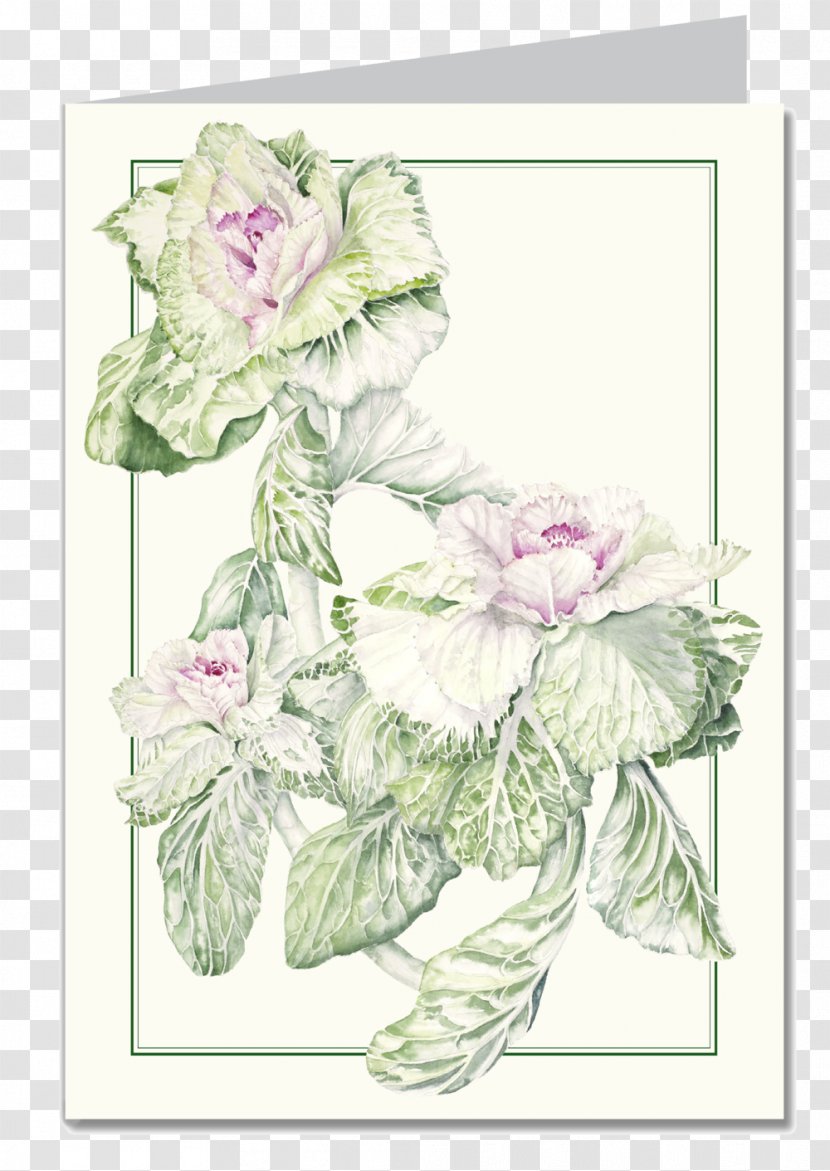 Floral Design Calendar Garden Roses Botany Flower - Cut Flowers - Flowering Kale Varieties Transparent PNG