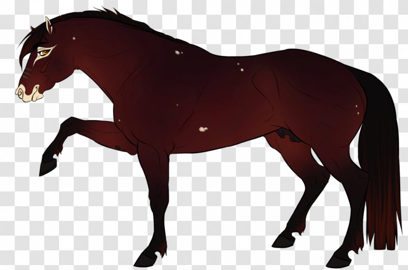 Mustang Stallion Mare Colt Pony - Horse Supplies - Rambo Transparent PNG