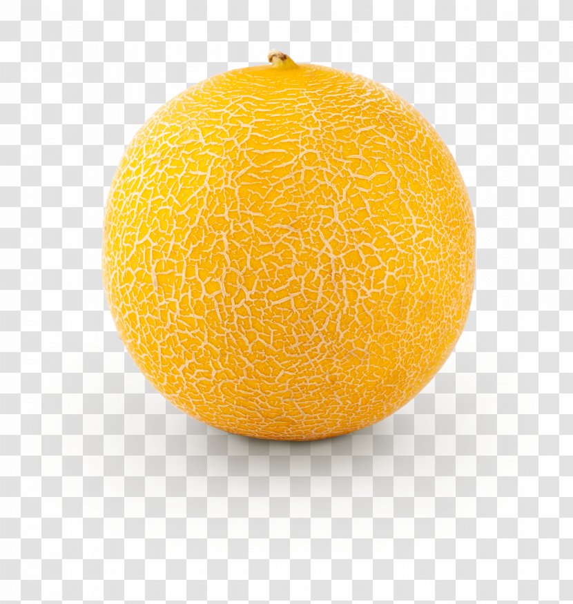Orange - Fruit - Citron Grapefruit Transparent PNG