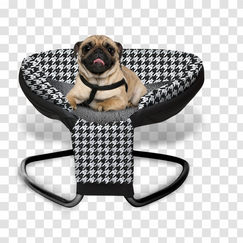 Pug Dog Breed Pet Cat Modern Transparent PNG