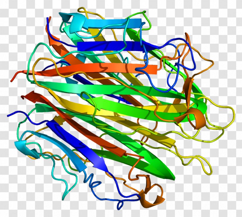 Collagen, Type VIII, Alpha 1 2 Collagen Protein - Scleroprotein - Helix Transparent PNG