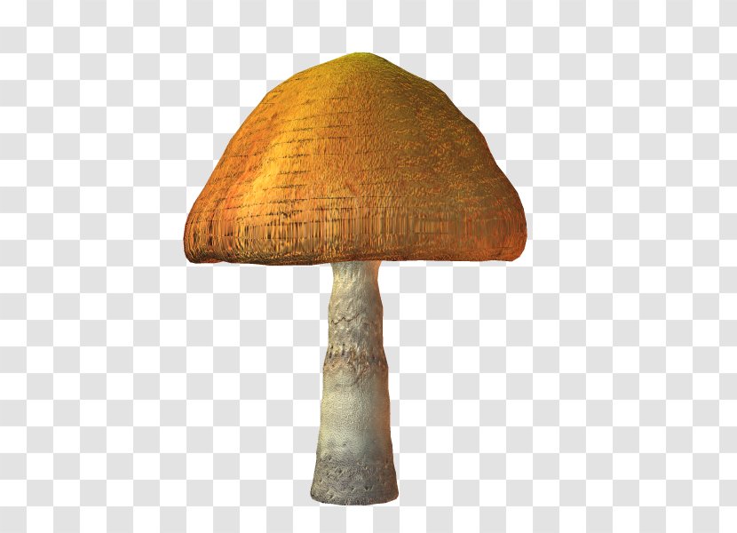 Mushroom TinyPic Image Video PhotoScape - Zq Transparent PNG