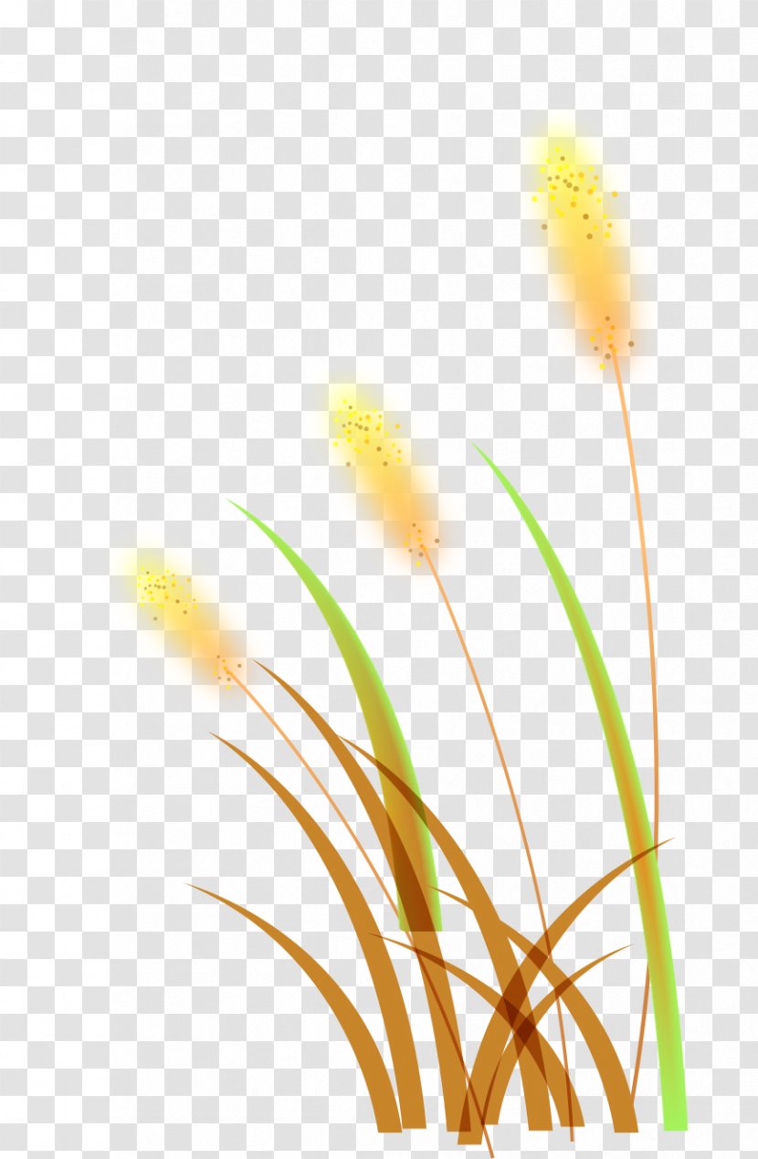 Orange Leaf - Sky - Grass Transparent PNG