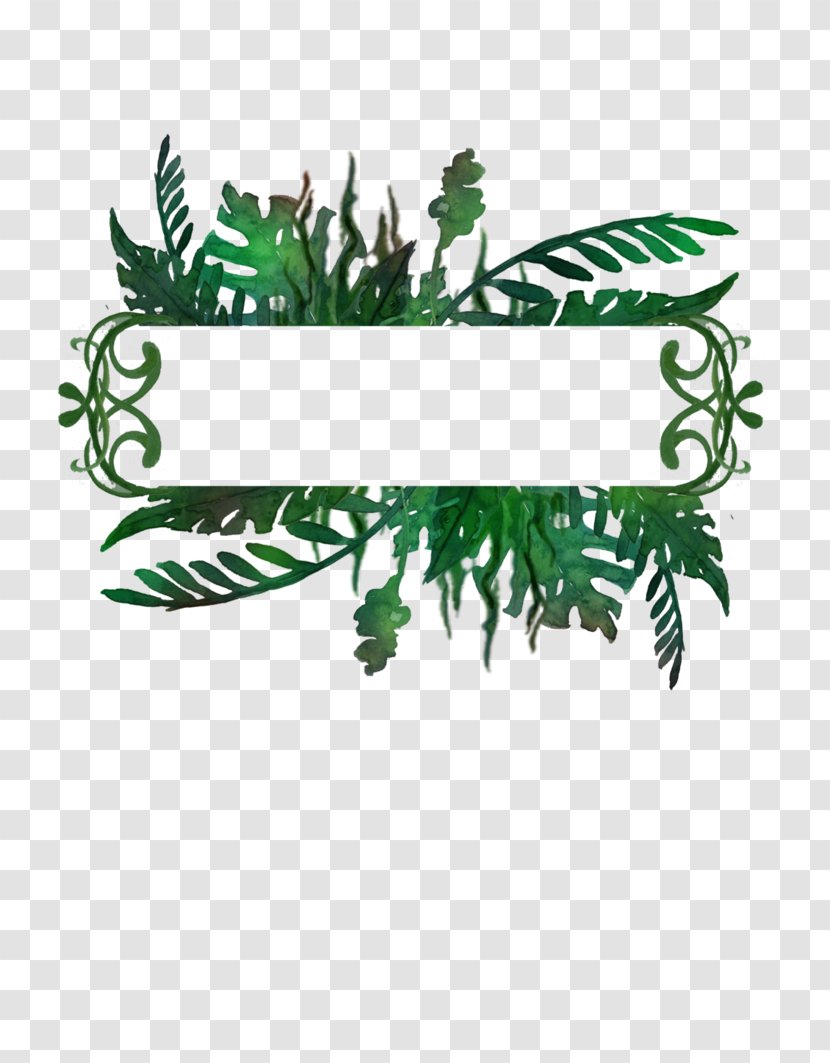 Picture Frames Drawing DeviantArt - Fir - Jungle Decoration Transparent PNG