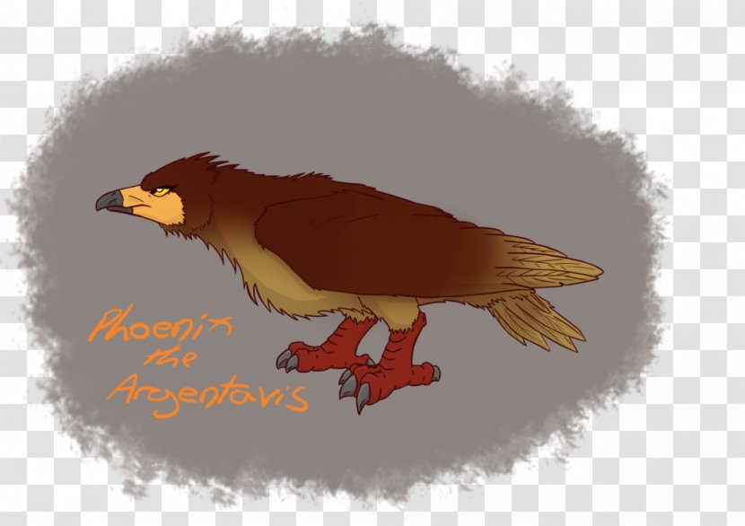 ARK: Survival Evolved Eagle Argentavis Magnificens Drawing Fan Art - Wildlife - Luck Draw Transparent PNG