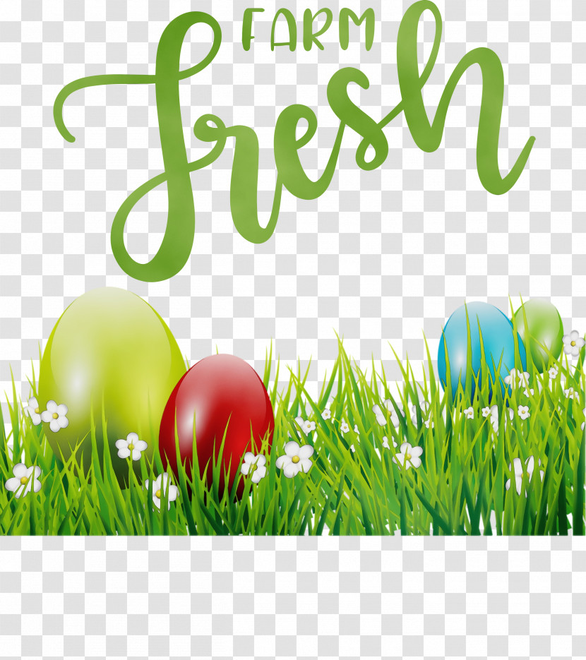 Easter Egg Transparent PNG