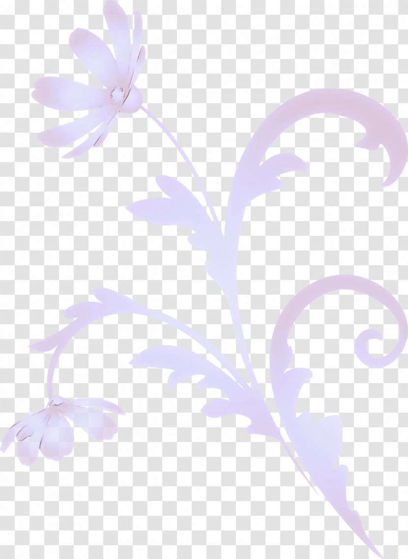 Flower Frame Floral Frame Transparent PNG