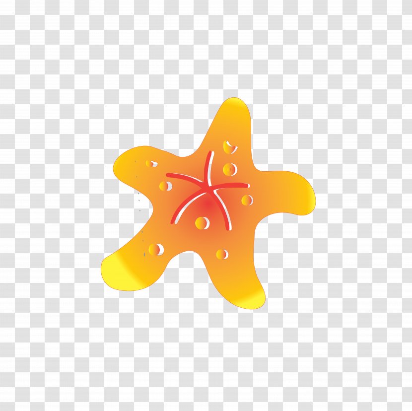 Starfish Euclidean Vector Vecteur Animal - Orange - Cartoon Transparent PNG