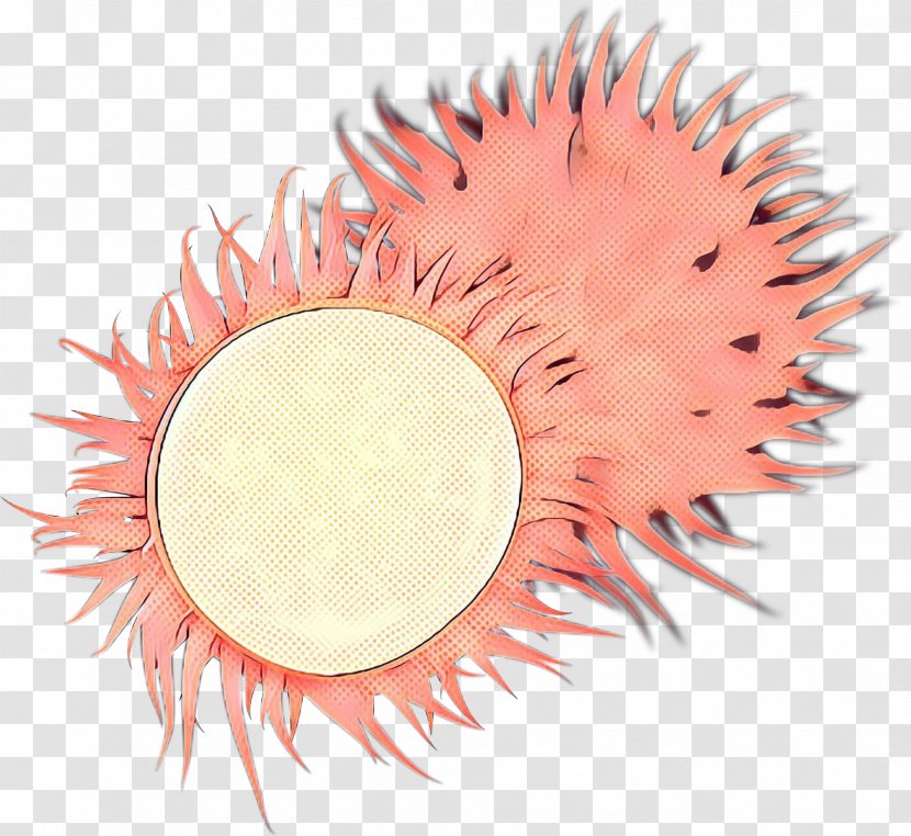 Family Cartoon - Rambutan - Plant Transparent PNG