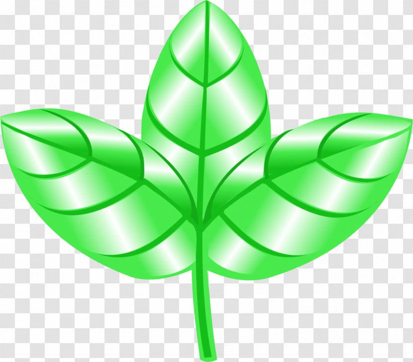 Leaf Plant Stem Symmetry Symbol Transparent PNG