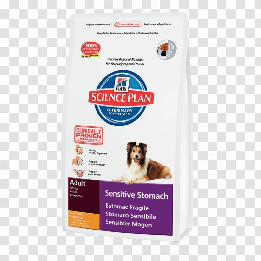 Dog Cat Puppy Science Diet Hill's Pet Nutrition Transparent PNG