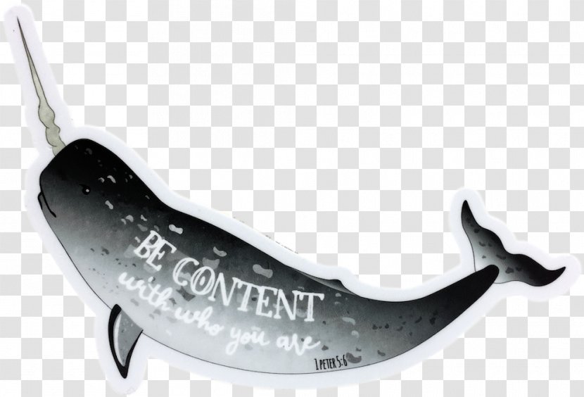 Shark Jaw - Marine Mammal Transparent PNG