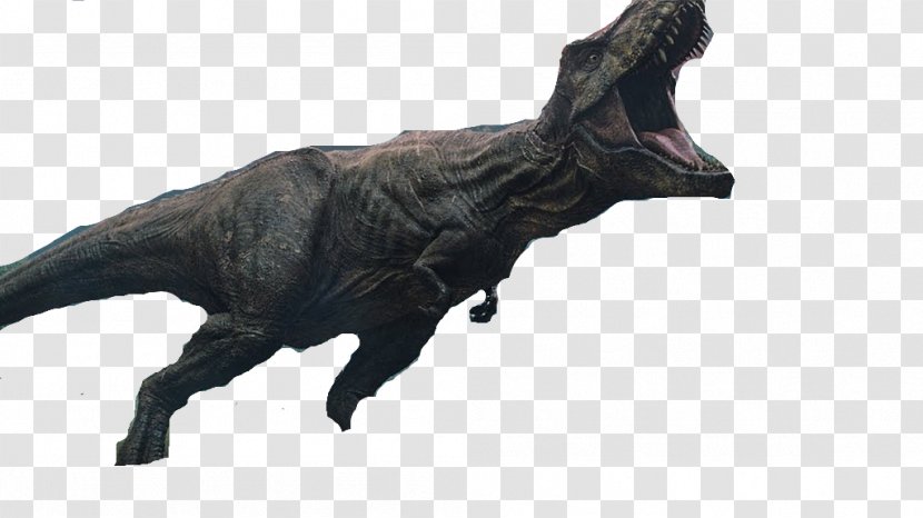 Tyrannosaurus YouTube Jurassic Park Indominus Rex Dinosaur - Art - World: Fallen Kingdom Transparent PNG