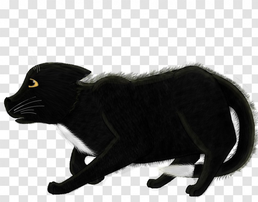 Black Cat Fur Puma Snout Transparent PNG