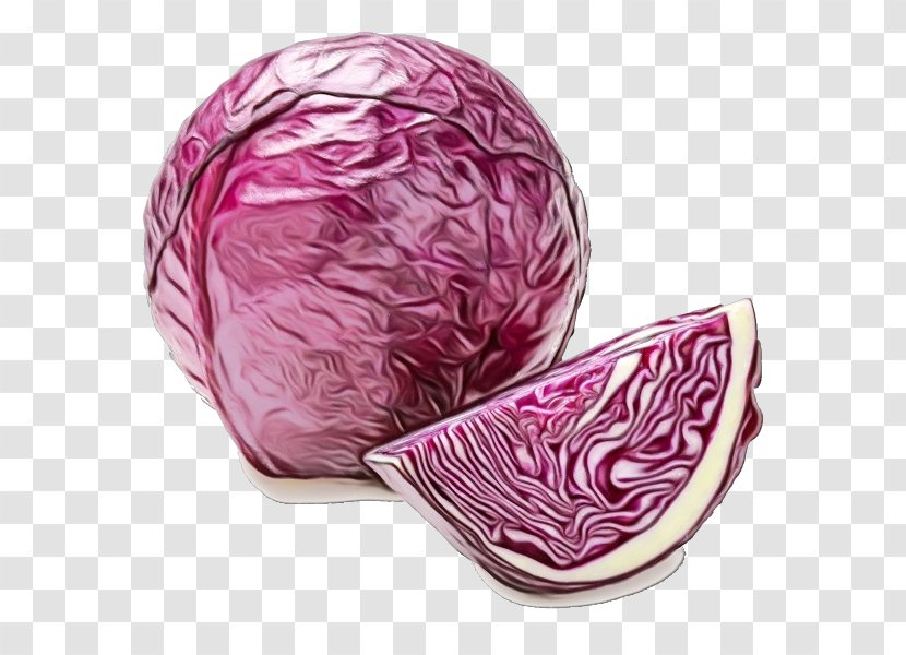 Red Cabbage Pink Magenta Food - Wet Ink - Leaf Vegetable Transparent PNG
