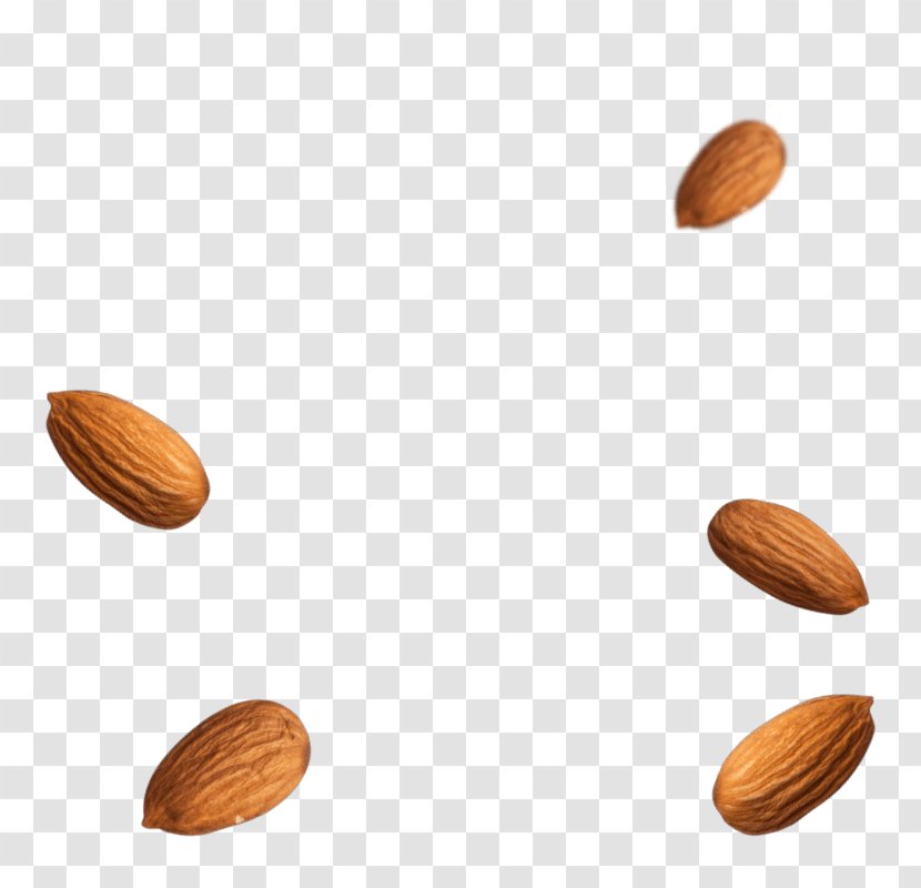 Nut Superfood Seed - Nuts Seeds - Almonds Transparent PNG