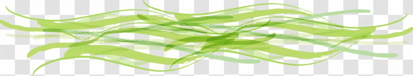 Leaf Grasses Plant Stem Tree Green - Cartoon Abstract Geometric Curve Transparent PNG