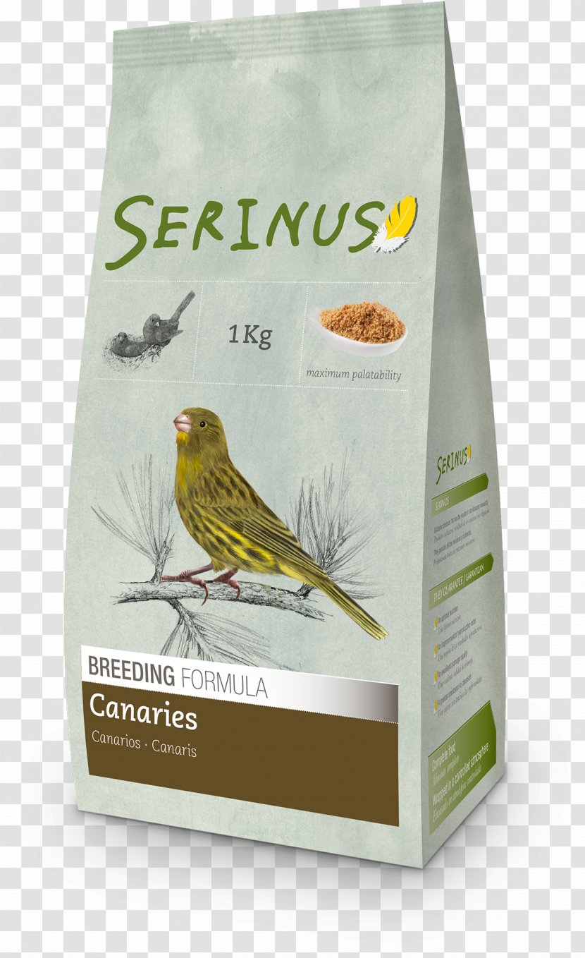Domestic Canary Bird Food Finch Formula Transparent PNG