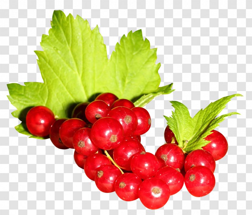 Gooseberry Redcurrant Blackcurrant Zante Currant Frutti Di Bosco Transparent PNG