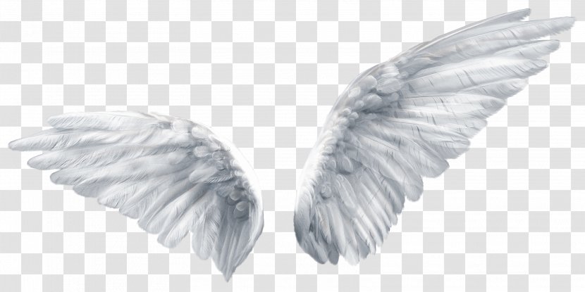 Wing Butterfly Angel Clip Art - Logo - Wings Transparent PNG
