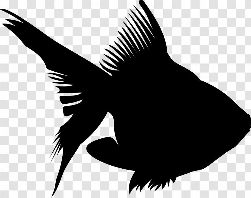 Beak Clip Art Fauna Silhouette - Tail - Wing Transparent PNG