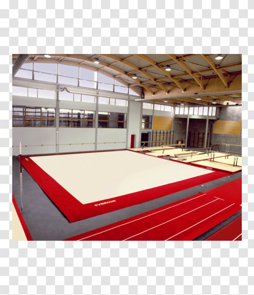 Gymnastics At The 1956 Summer Olympics – Women's Floor Artistic Sport - Carpet - Perú Transparent PNG