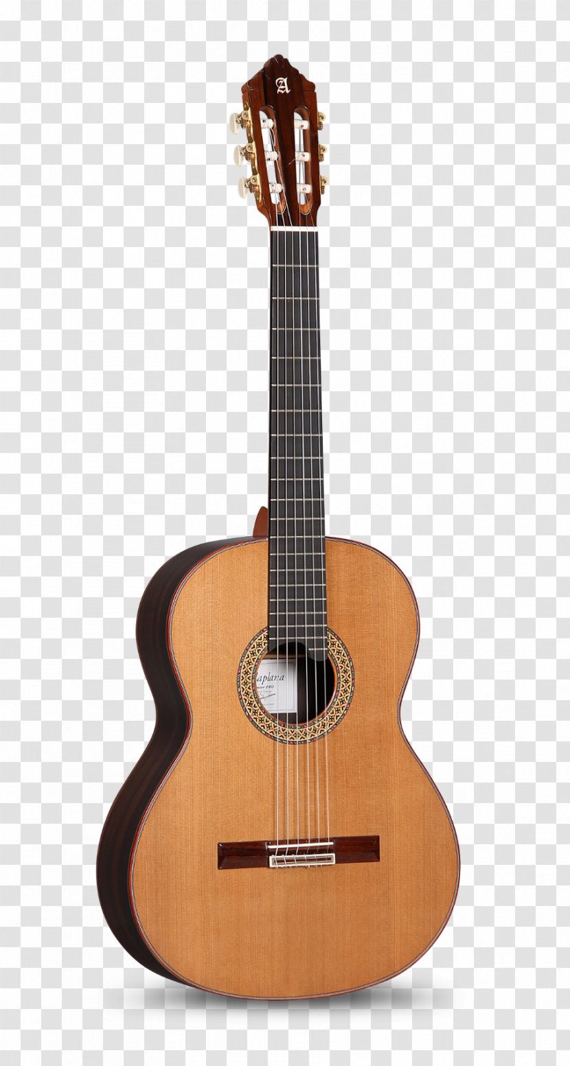 Steel-string Acoustic Guitar C. F. Martin & Company Musical Instruments - Flower - 3c Transparent PNG