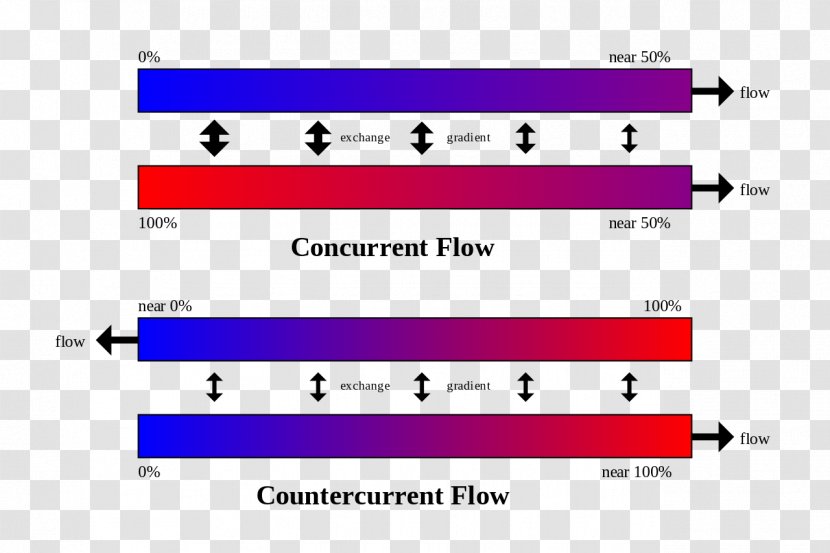 Countercurrent Exchange Heat Exchanger System Gas Transfer - Frame - Gradient Material Transparent PNG