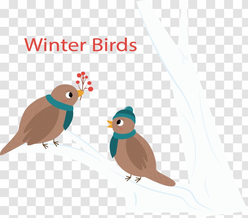 Bird Winter Euclidean Vector - Beak - Birds On Branch Transparent PNG