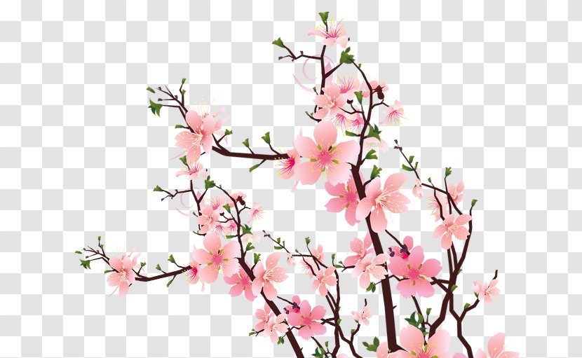 Common Plum Blossom Pink Flower - Plant Transparent PNG