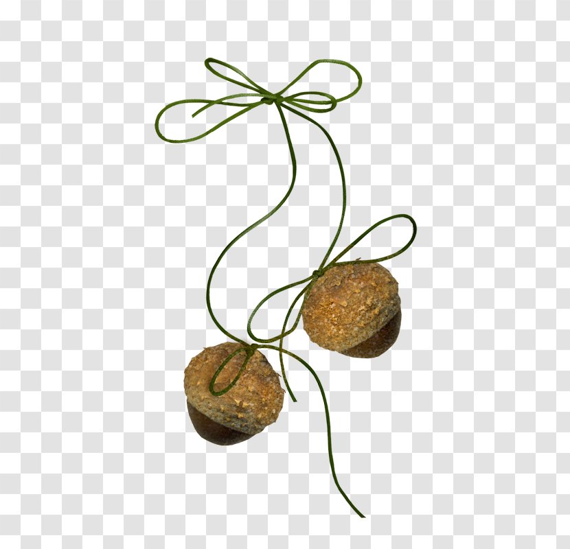 Autumn Design - Industrial - Plant Acorn Transparent PNG