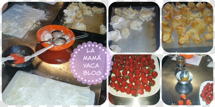 Bulgaria Plastic Food Blog Information - Flower - Cooking Mama Transparent PNG