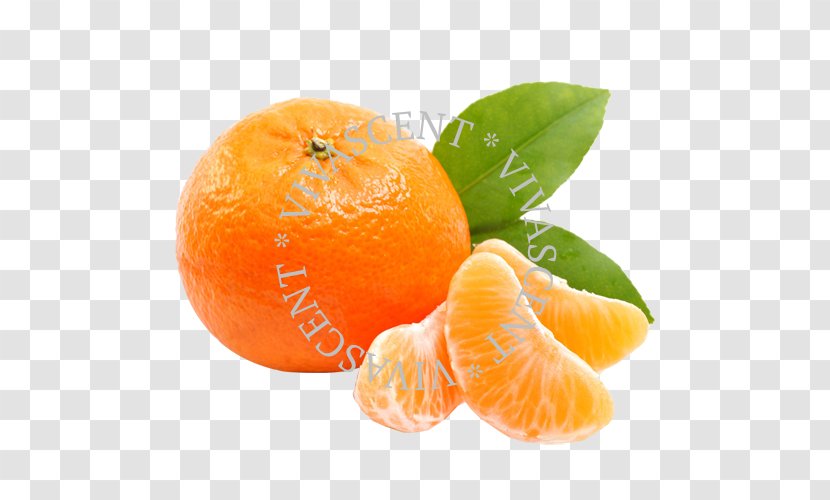 Mandarin Orange Tangerine Satsuma - Natural Foods Transparent PNG