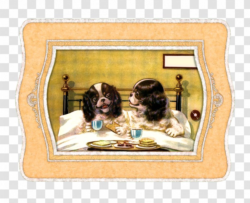 Cavalier King Charles Spaniel Bed Sheets Humour Transparent PNG