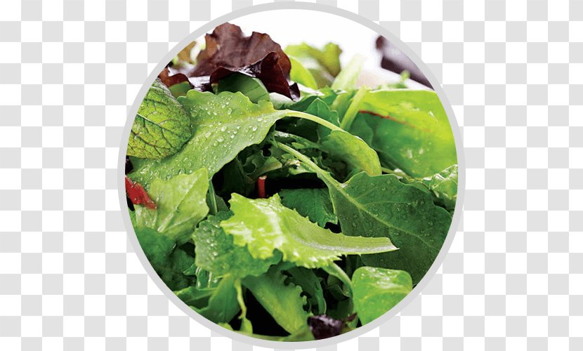 Organic Food Salad Leaf Vegetable Mesclun - Kale Transparent PNG