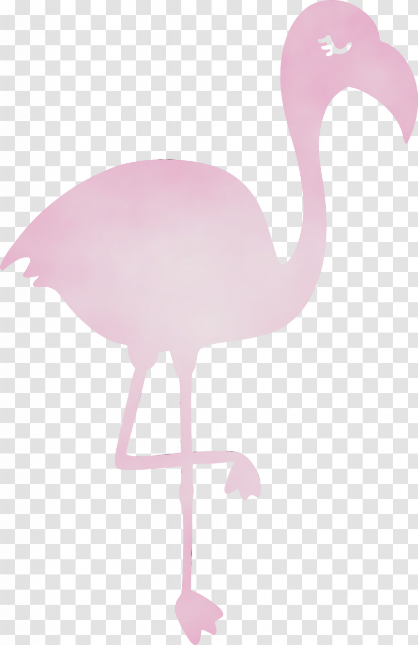 Flamingo M Pink M Beak Transparent PNG