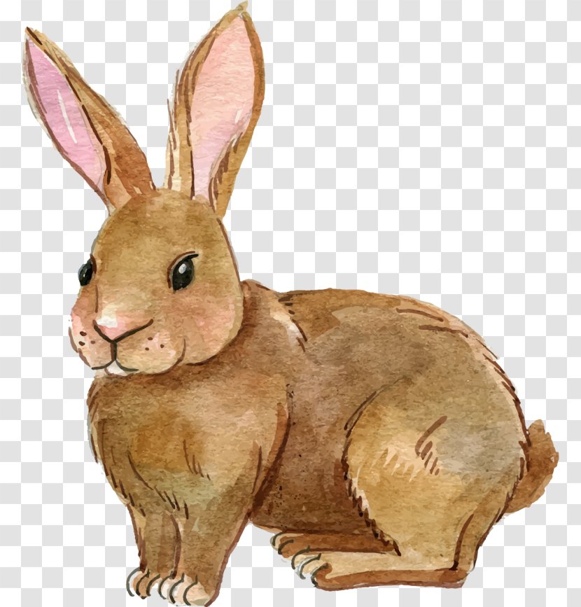 Clip Art European Rabbit Image - Mammal Transparent PNG