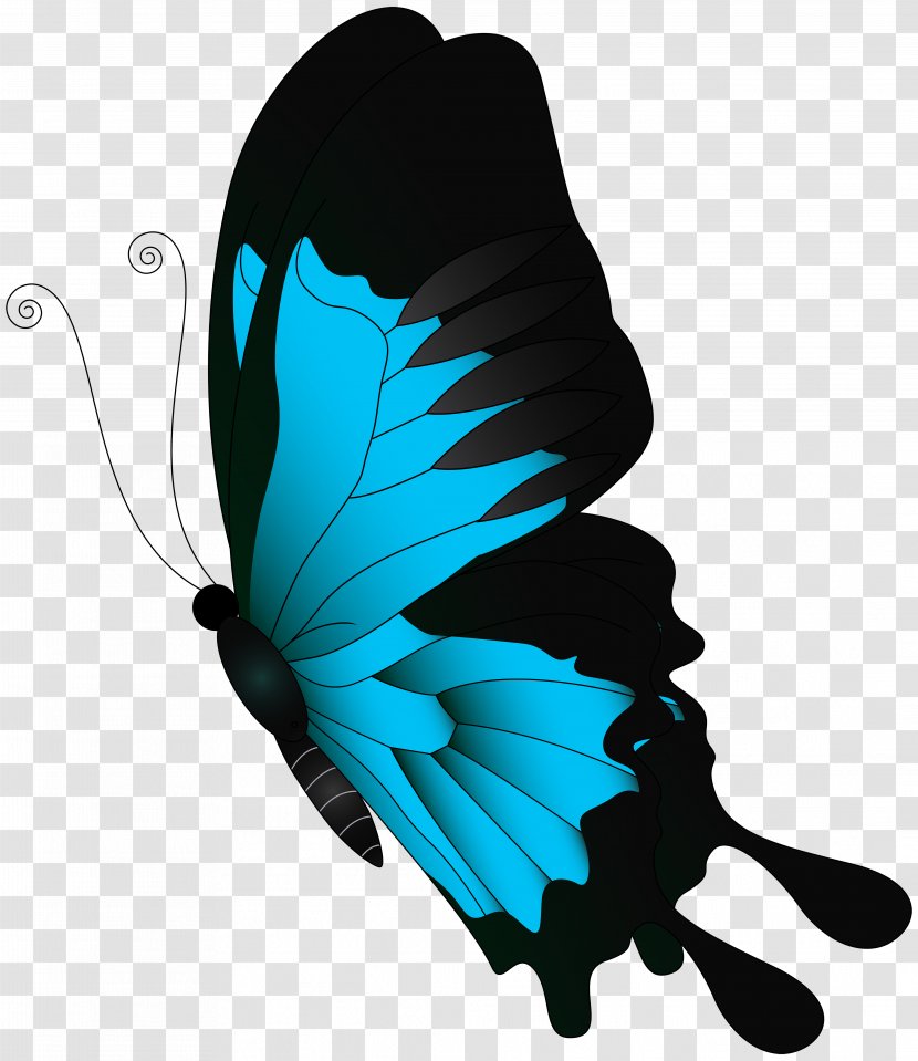 Butterfly Clip Art - Blue Flying Transparent PNG