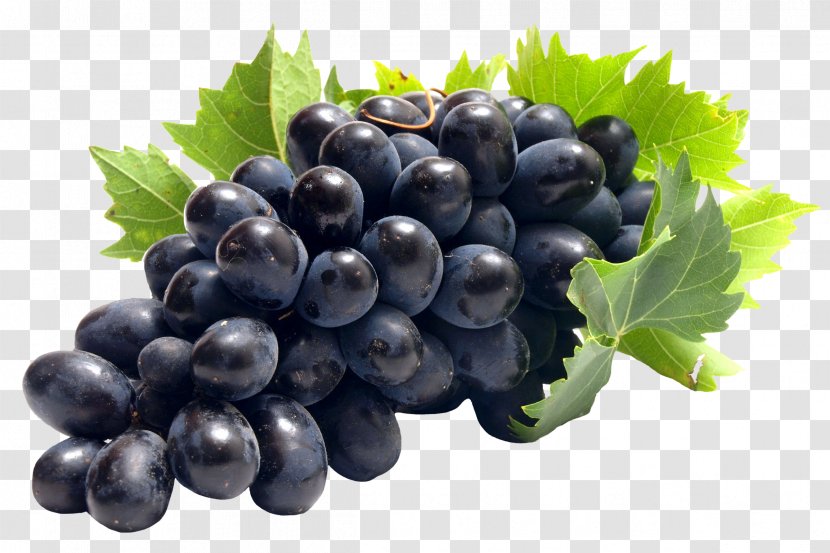 Common Grape Vine Juice Clip Art Transparent PNG