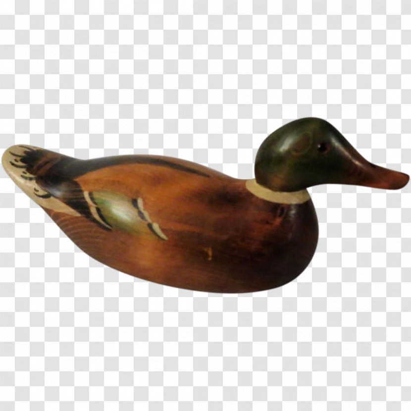 Mallard Duck Beak Transparent PNG