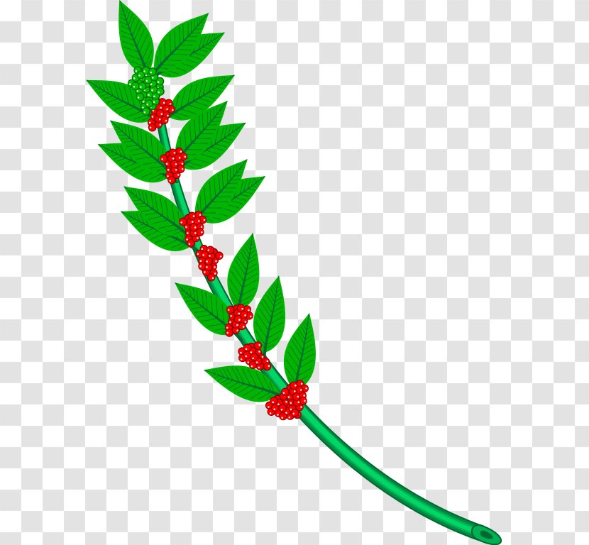 Heraldry Wikimedia Commons Clip Art - Coffee Branch Transparent PNG