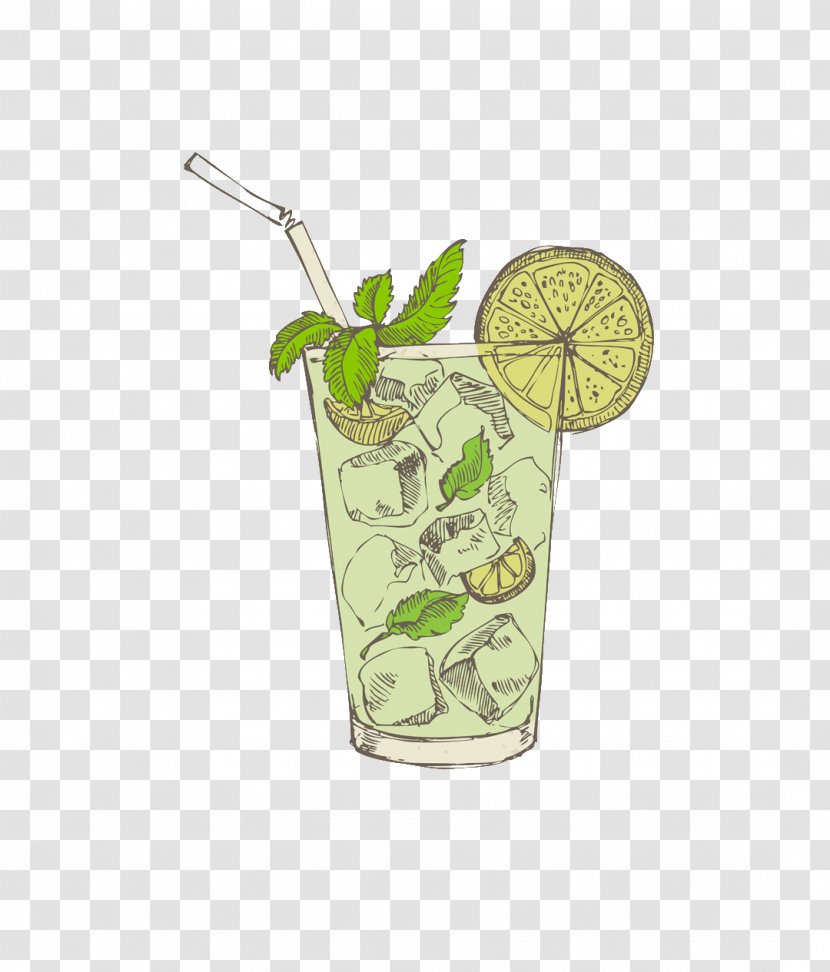 Mojito Cocktail Stock Photography Illustration - Garnish - Mint Drink Transparent PNG