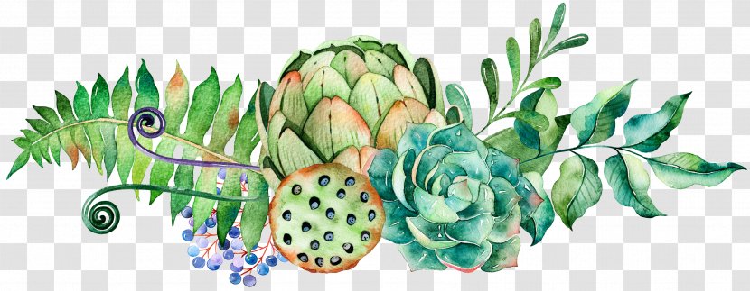 Watercolor Painting Succulent Plant Cactaceae - Hand-painted Plants Transparent PNG