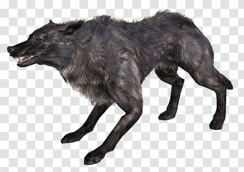 The Elder Scrolls V: Skyrim Gray Wolf American Pit Bull Terrier WolfQuest Video Game - Curse - Magicka Transparent PNG