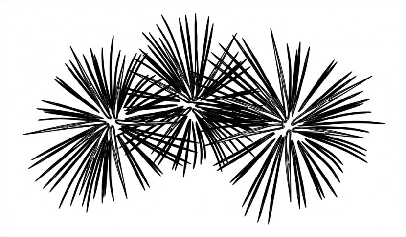 Fireworks Black And White Clip Art - Plant - Cliparts Transparent PNG