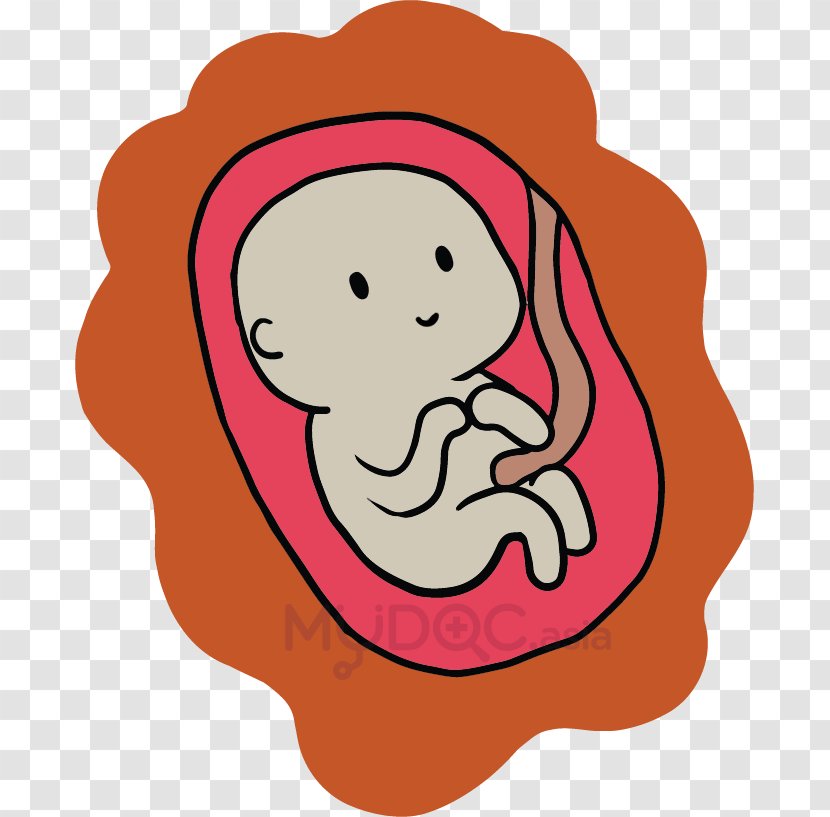 Caesarean Section Surgery Childbirth Fetus - Heart - Pregnancy Transparent PNG
