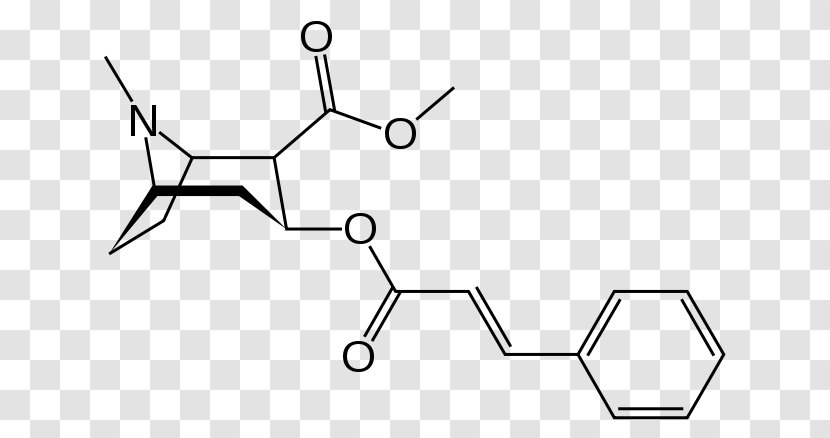 Methylecgonine Cinnamate Tropane Alkaloid Cocaethylene Erythroxylum Coca - White - Rectangle Transparent PNG