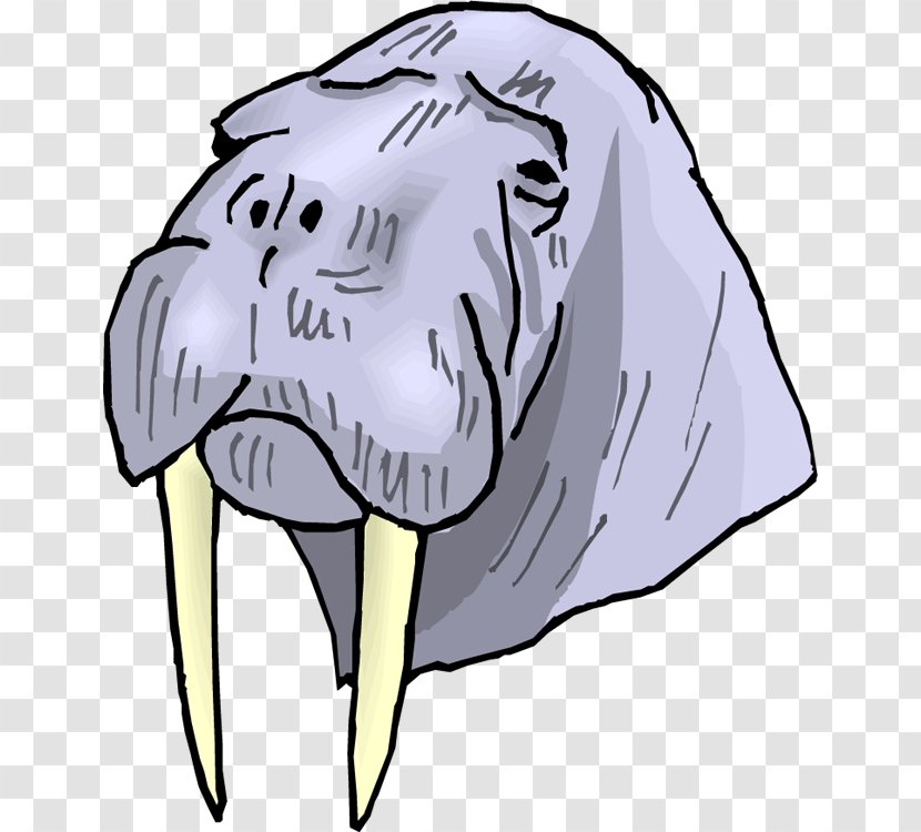 Walrus Tusk Clip Art - Cartoon - Cliparts Transparent PNG