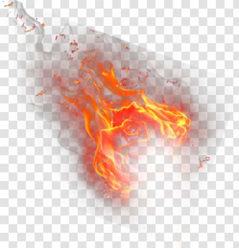 Fire Clip Art Flame Tiger Image - Red Transparent PNG