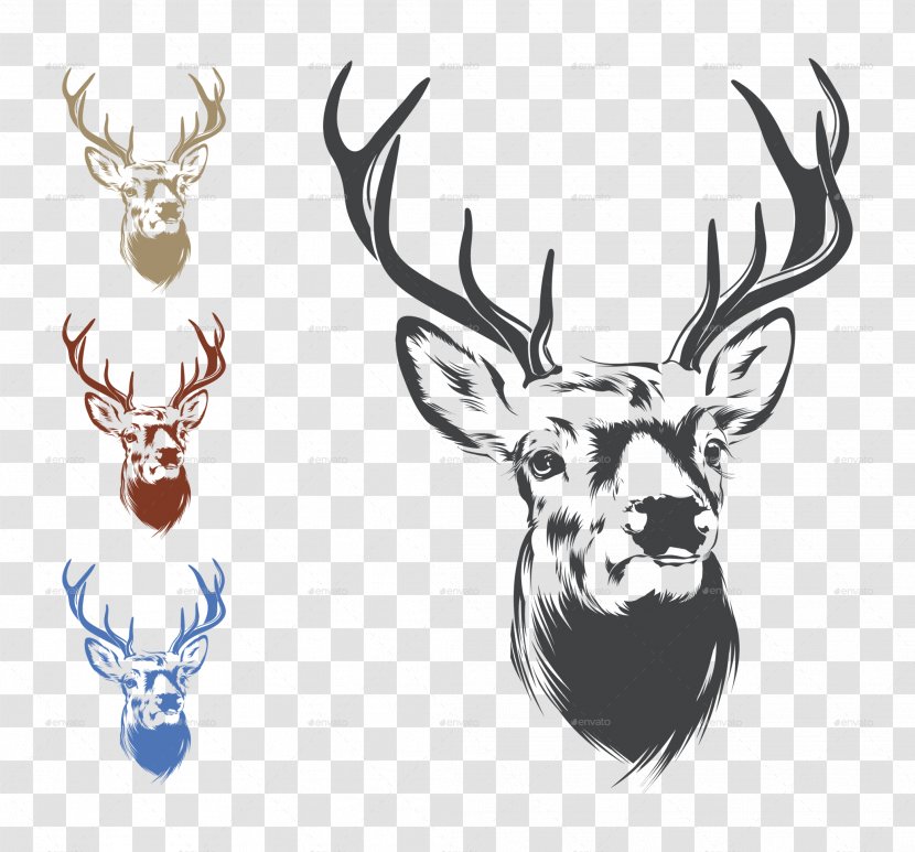 Deer Drawing Clip Art - Royalty Free - Head Image Transparent PNG